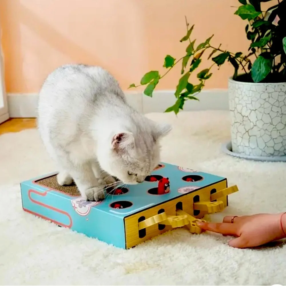 1 pc Whisker Wonders Interactive Cat Scratching Board with Pop-Up Birds
